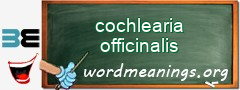 WordMeaning blackboard for cochlearia officinalis